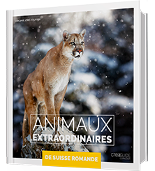 Animaux extraordinaires de Suisse romande, Beau Livre - 276 pages