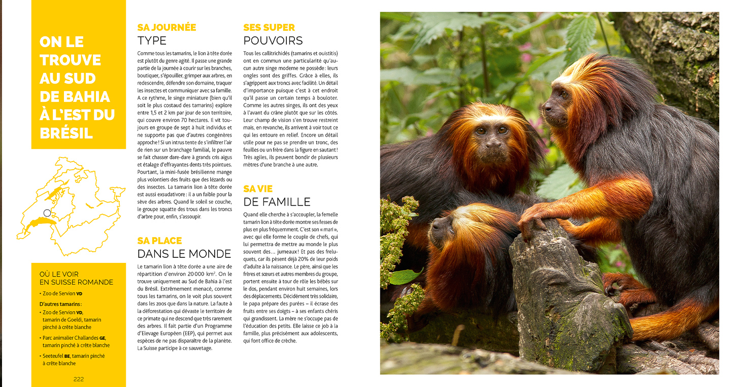 Animaux extraordinaires de Suisse romande, Beau Livre - 276 pages Animaux extraordinaires de Suisse romande, Beau Livre - 276 pages